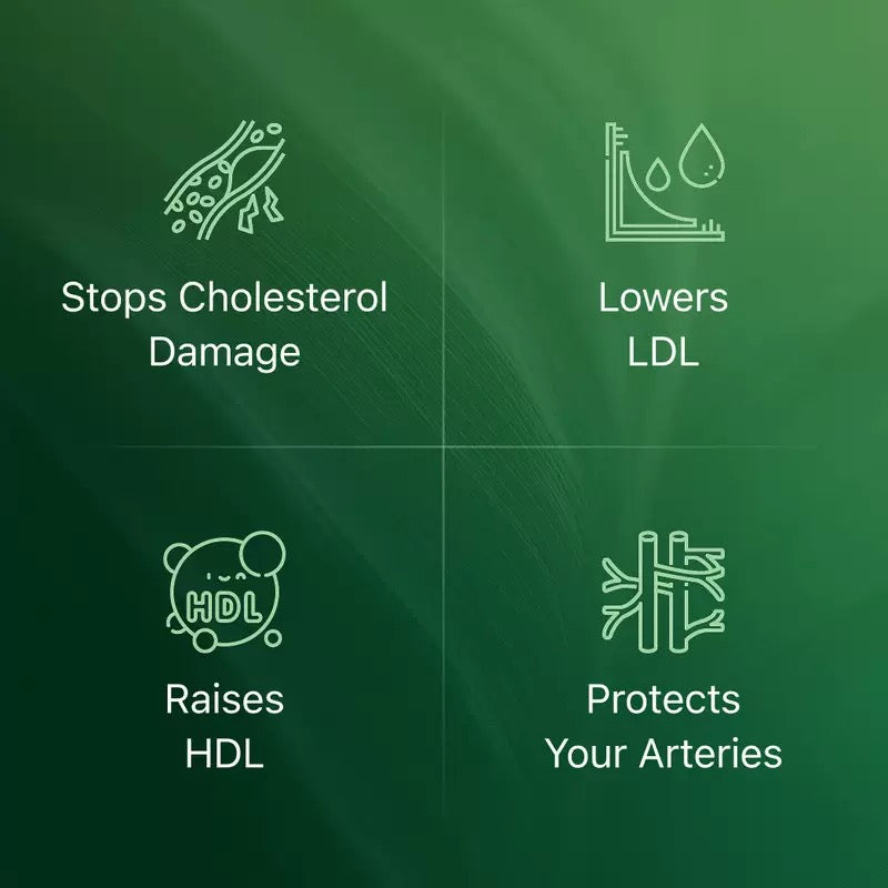 AMLA Extract - Full Body Reset